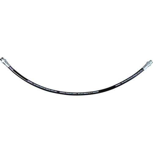 Flexible Grease Hose, 12" L Les Distributions ICE