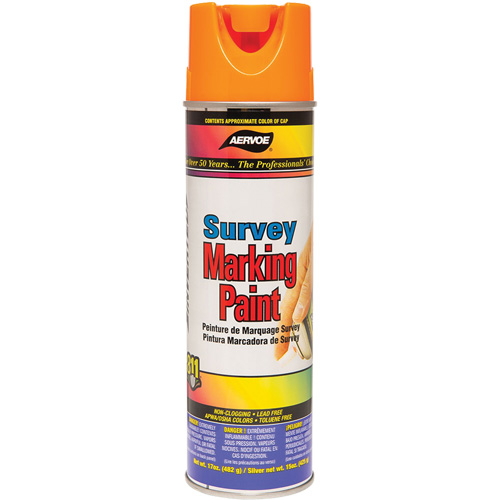 Solvent-Based Marking Paint, 17 oz., Aerosol Can Les Distributions ICE