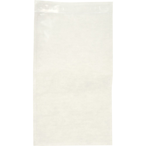Non-Printed Packing List Envelope, 10" L x 5-1/2" W, Endloading Style Les Distributions ICE