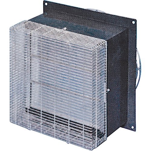 Fan Guard 12"  Front Les Distributions ICE