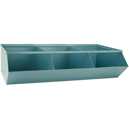 Sectional Bin Units, 100 lbs. Cap., 37" W x 20-1/2" D x 9-1/2" H, Blue Les Distributions ICE
