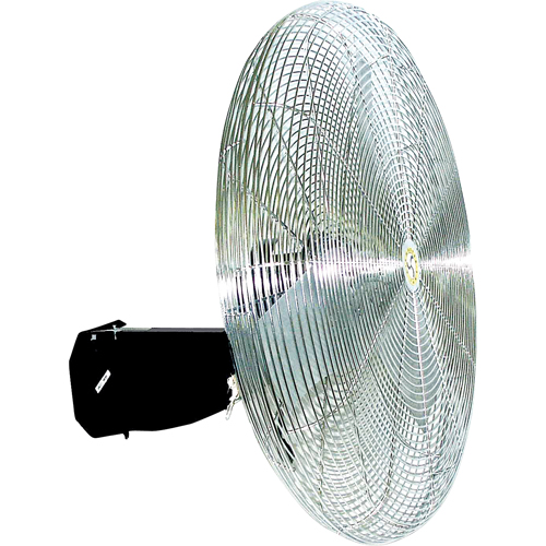 Oscillating Wall fan, Industrial, 3 Speed, 30" Diameter Les Distributions ICE