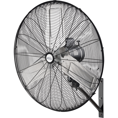 Oscillating Wall Fan, Industrial, 2 Speed, 30" Diameter Les Distributions ICE