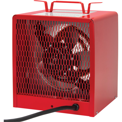 Radiateur, Entrepreneur, &eacute;lectrique, 16 380 BTU/H Les Distributions ICE