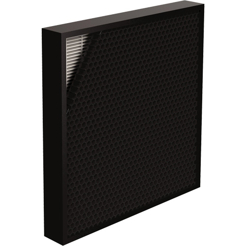 Filtres AeraMax Pro AM3 & AM4 Hybrid 2", Boîte, 14" la x 2,25" p x 14,38" h Les Distributions ICE