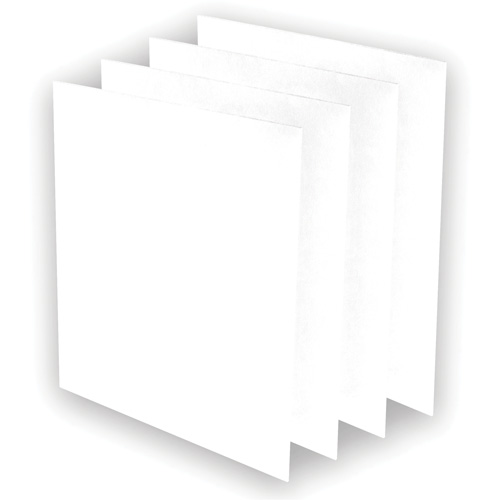 AeraMax&reg; Pro AM3 or AM4 Pre-Filters, 13.75" W x 0.13" D x 14.38" H Les Distributions ICE