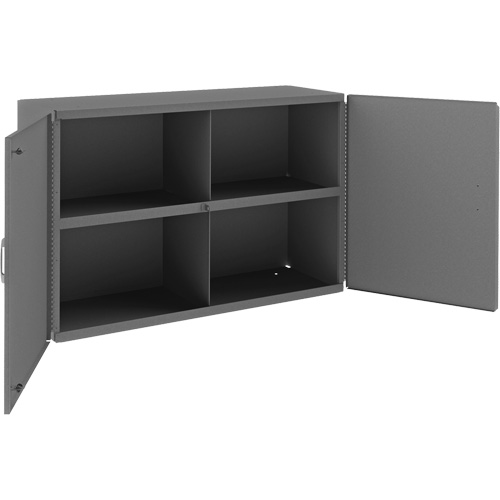 Armoire murale, 24" h x 33-13/16" la x 12-3/8" p, 1 tablettes, Acier, Gris Les Distributions ICE