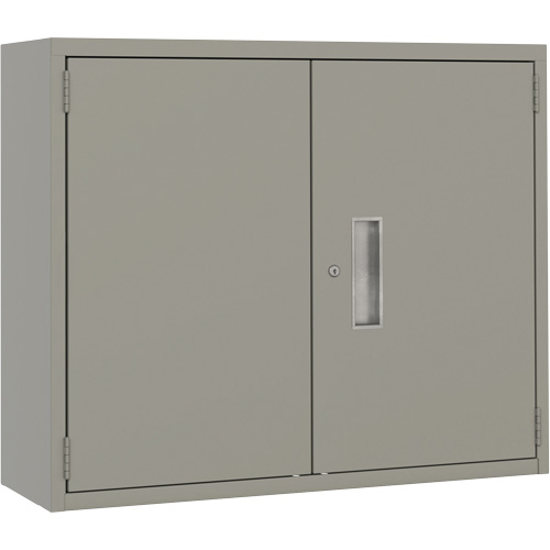 Armoire murale, Acier, 2 Tablettes, 30" h x 36" la x 12" P, Gris Les Distributions ICE