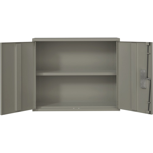Armoire murale, Acier, 2 Tablettes, 30" h x 36" la x 12" P, Gris Les Distributions ICE