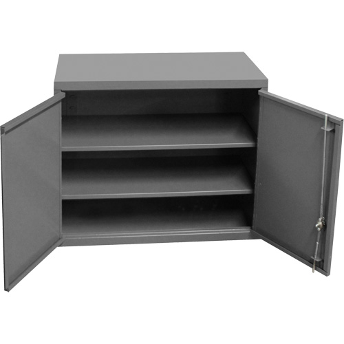 Armoire murale, 27" h x 13-11/16" la x 35-7/8" p, 2 tablettes, Acier, Gris Les Distributions ICE