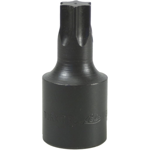 Douille &agrave; embout, Torx, T-60, Prise 1/2" Les Distributions ICE