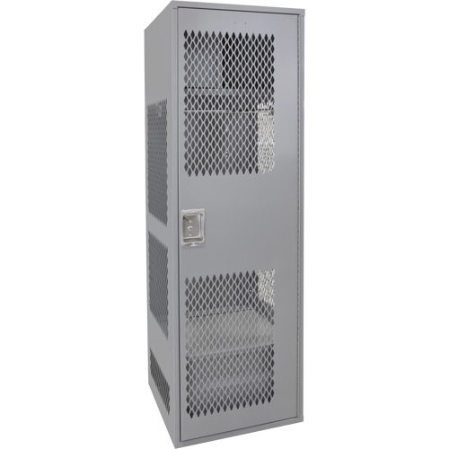 Casier pour &eacute;quipement avec porte, Acier, 24" la x 24" p x 72" h, Gris Les Distributions ICE