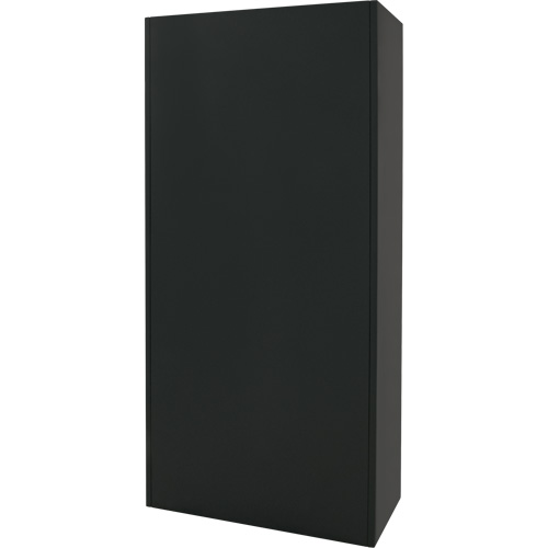 Combination Storage Cabinet, 36" W x 18" D x 72" H, Black Les Distributions ICE