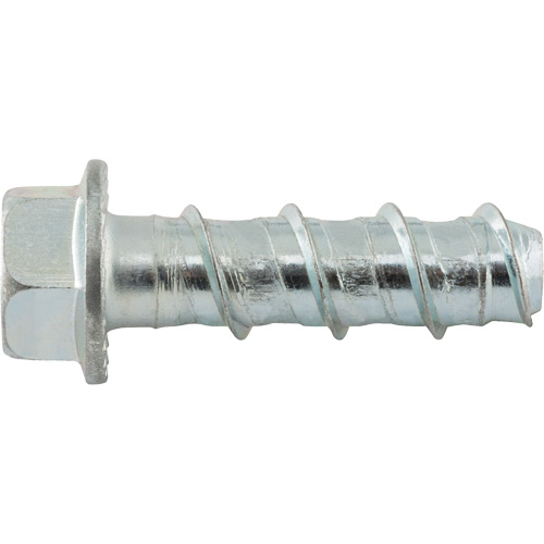 Wedge Bolts, Carbon Steel, 1/2" x 2" Les Distributions ICE