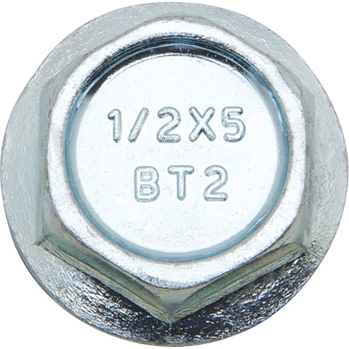 Wedge Bolts, Carbon Steel, 1/2" x 2" Les Distributions ICE