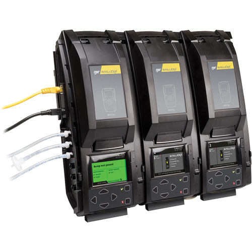 BW IntelliDoX Docking Station, Compatible with BW Clip Les Distributions ICE