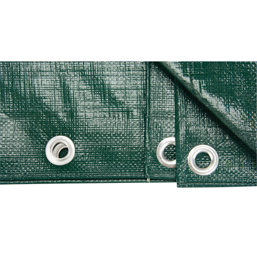 Tarp, Heavy-Duty, Green, 8' x 6' x 9 mils Les Distributions ICE