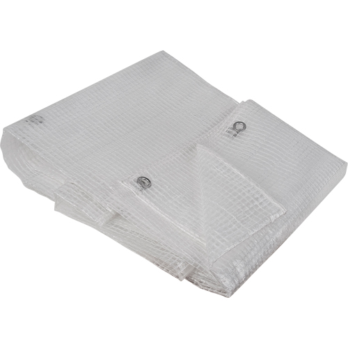 Clear Tarp, 12' x 10' x 8 mils Les Distributions ICE