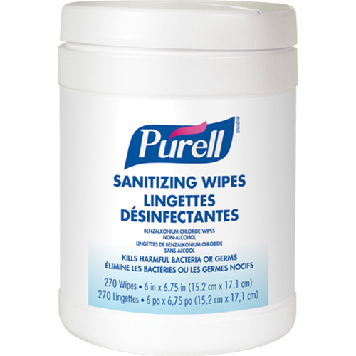 Hand Sanitizing Wipes, Canister Les Distributions ICE