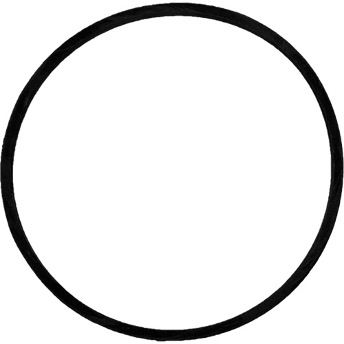 Replacement Brush Drive Belt Les Distributions ICE