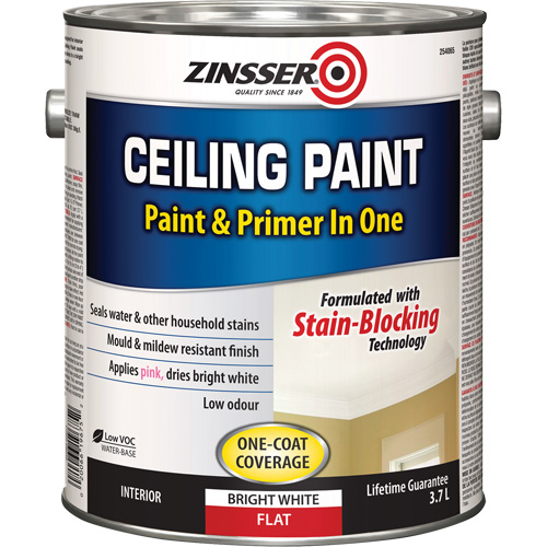 Peinture et appr&ecirc;t pour plafond en un seul produit, Blanc, Tr&egrave;s mat, 3,78 L, Gallon Les Distributions ICE