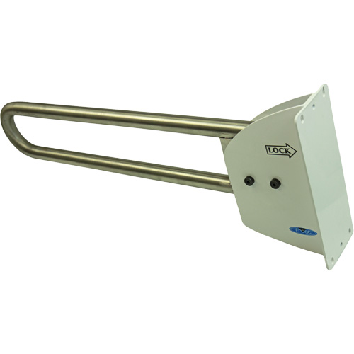 Swing-Up Safety Rail Les Distributions ICE