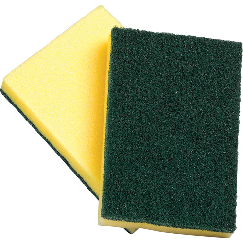 Sponges with Scouring Pad, Scrubbing, 4" W x 6" L Les Distributions ICE