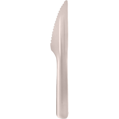 Bagasse Compostable Knives Les Distributions ICE
