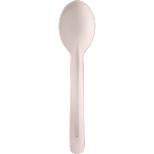 Bagasse Compostable Spoons Les Distributions ICE