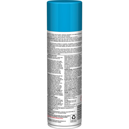 Pro Line Crazy Clean&reg; All Purpose Cleaner, 19 oz., Aerosol Can Les Distributions ICE