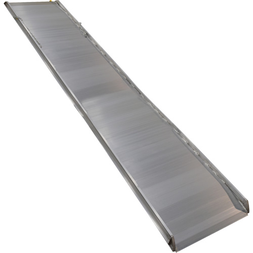 Aluminum Walk Ramp, 1000 lbs. Capacity, 38" W x 193-1/8" L Les Distributions ICE