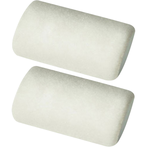 Professional Roller Sleeves, 9.525 mm (3/8") Nap, 101.6 mm (4") L Les Distributions ICE