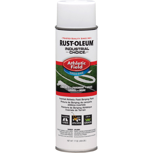 Peinture pour traçage de ligne pour terrain de gymnastique Industrial Choice AF1600, Blanc, 17 oz, Canette a&eacute;rosol Les Distributions ICE