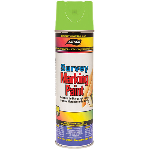 All-Purpose Marking Paint, 17 oz., Aerosol Can Les Distributions ICE