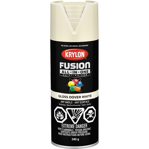 Fusion All-In-One Spray Paint, Dover White, Gloss, 12 oz., Aerosol Can Les Distributions ICE