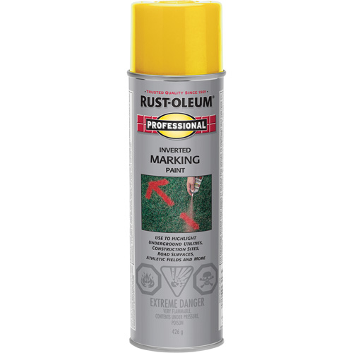 Peinture de marquage renvers&eacute; en a&eacute;rosol, 426 g, Canette a&eacute;rosol Les Distributions ICE