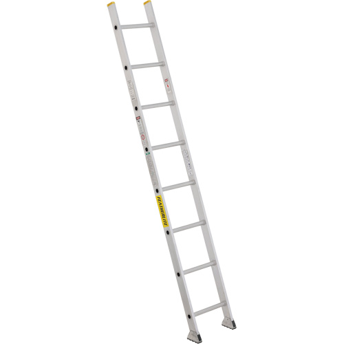 Industrial Heavy-Duty Straight Ladders, 8', Aluminum, 300 lbs., CSA Grade 1A Les Distributions ICE