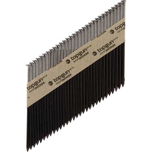 Collated Nails Les Distributions ICE