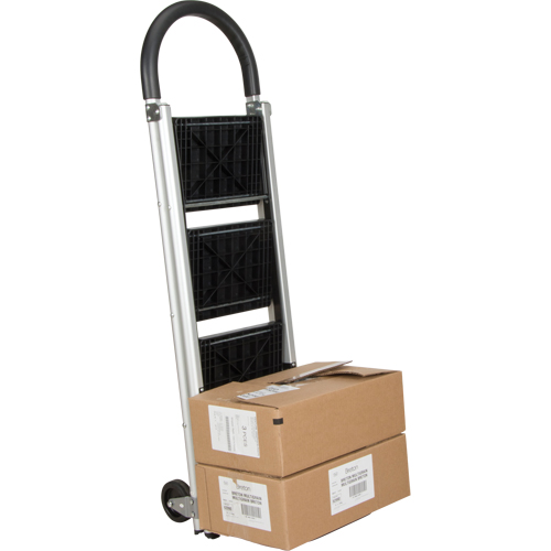 &eacute;chelle-escabeau, 3 marches, 20" x 18" x Hauteur 38-1/2" Les Distributions ICE