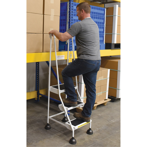 Stop-Step Ladders, 3 Steps, 16" Step Width, 28-11/16" Platform Height, Steel Les Distributions ICE