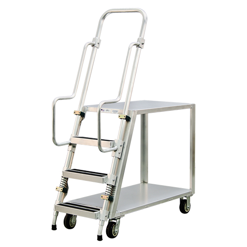 Aluminum Stock Picking Ladder Cart, Aluminum, 22" W x 51-1/2" D, 2 Shelves, 800 lbs. Capacity Les Distributions ICE