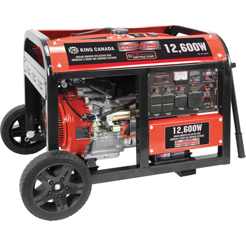 G&eacute;n&eacute;ratrice &agrave; essence &agrave; d&eacute;marreur &eacute;lectrique, 12600 W de surtension, 9000 W nominale, 120 V/240 V, R&eacute;servoir de 31 L Les Distributions ICE