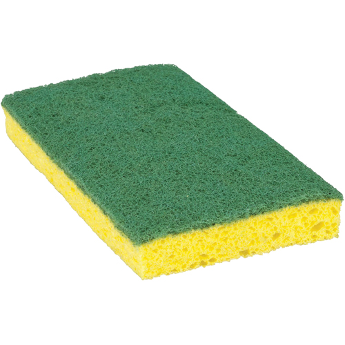 &eacute;ponge &agrave; r&eacute;curer pour travaux moyens Scotch-Brite, &agrave; r&eacute;curer, 3-3/5" la x 6-1/10" l Les Distributions ICE