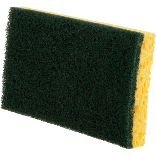 &eacute;ponges utilitaires, Cellulose, 6" la x 3-1/2" l Les Distributions ICE