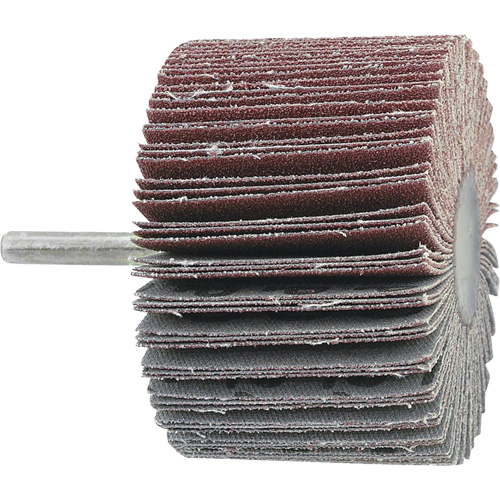 Disque &agrave; lamelles mont&eacute; sur mandrin, Grain A60, 2" x 3/4" x 1/4" Les Distributions ICE