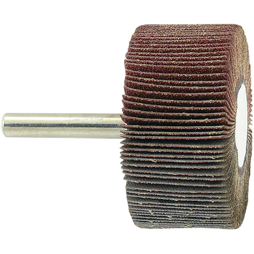 Disque &agrave; lamelles mont&eacute; sur mandrin, Grain 80, 2" x 1" x 1/4" Les Distributions ICE