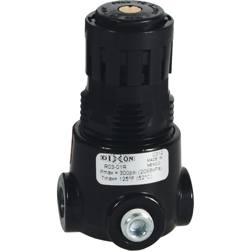 R&eacute;gulateur miniature R03 Wilkerson, 1/4" NPT, PSI max. de 300 psi, Standard Les Distributions ICE