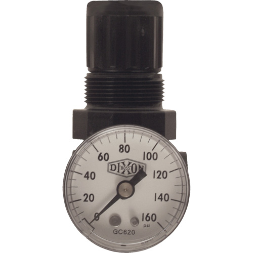 R&eacute;gulateur miniature de s&eacute;rie 1, 1/8" NPT, PSI max. de 100 psi, Standard Les Distributions ICE