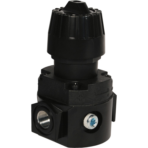 Wilkerson Compact Regulator R16, 1/4" NPT, 300 psi Max. PSI, Standard Les Distributions ICE
