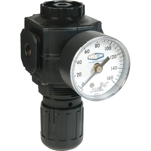 R&eacute;gulateur compact de s&eacute;rie 1, 1/2" NPT, PSI max. de 150 psi, Standard Les Distributions ICE